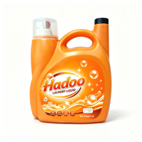 Détergent liquide pour lessive à haute efficacité, marque privée OEM, 5 litres, savon liquide