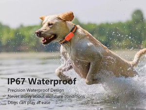 Rastreador GPS 4G Wifi para Mascotas, Resistente al Agua, Compatible con IOS y Android, Rastreo en Tiempo Real, Dispositivo de Rastreo GPS, Navegador GPS - Product Image 5