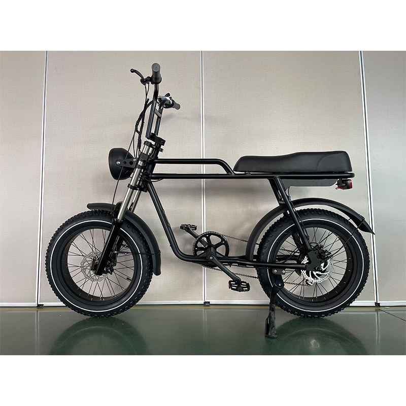 Shop Surprise Price Rear Hub Motor Second Hand Bikes Japan