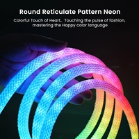 Kit de bande lumineuse LED néon RGBIC 5M à 360 degrés, effet de poursuite des couleurs, en nylon flexible et silicone, IP67, 5V, tressée