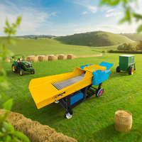Nouvelle machine à ensilage manuelle de 3 tonnes/h, mini-hacheuse à herbe, haute productivité, pour alimentation animale, Henan