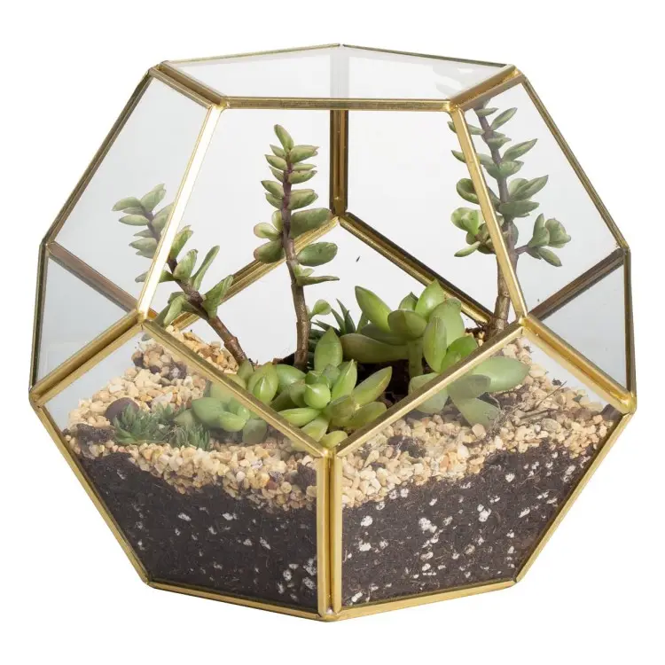 Goud Glas Geometrisch Terrarium Voor Sappige Lucht Planten Handgemaakt Modern Messing Ingelijst Pentagon Glas Terrarium Voor Sprookjesachtige Tuin