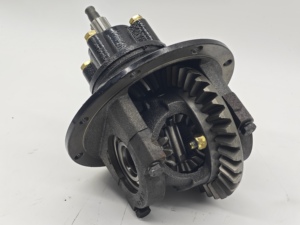 Différentiel à glissement limité pour véhicule utilitaire électrique UTV pour Zongshen Longcin <span class=keywords><strong>250cc</strong></span> 300cc 350cc 400cc - Product Image 2