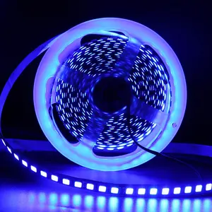 Großhandel 240V 230V 110V 220V RGB 5050 Farbwechsel mit LED-Fern leisten