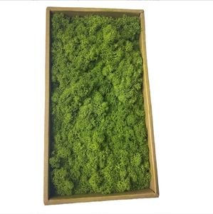 High Quality Real Preserved <strong>Moss</strong> Natural Decorative Flowers <strong>Wreaths</strong> Wooden Frame Office Decor Halloween Stabilized Reindeer <strong>Moss</strong> - Product Image 2