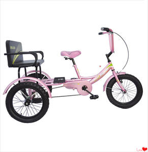 J Triciclo De Bicicleta Carga Cubierto Vertrouwd Para Adulto Carga Bicicletas Para 2 Adultos - Product Image 5