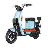 Bicicleta Eléctrica de Fábrica, 350W, 48V, 23Ah, Batería de Plomo-Ácido, Alta Velocidad, Controlador Inteligente, Motor de 750W para Ciudad