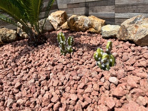 Pierre naturelle de qualité garantie Abricot Orange Rouge Drainage durable Pierre concassée Prix des agrégats - Product Image 5