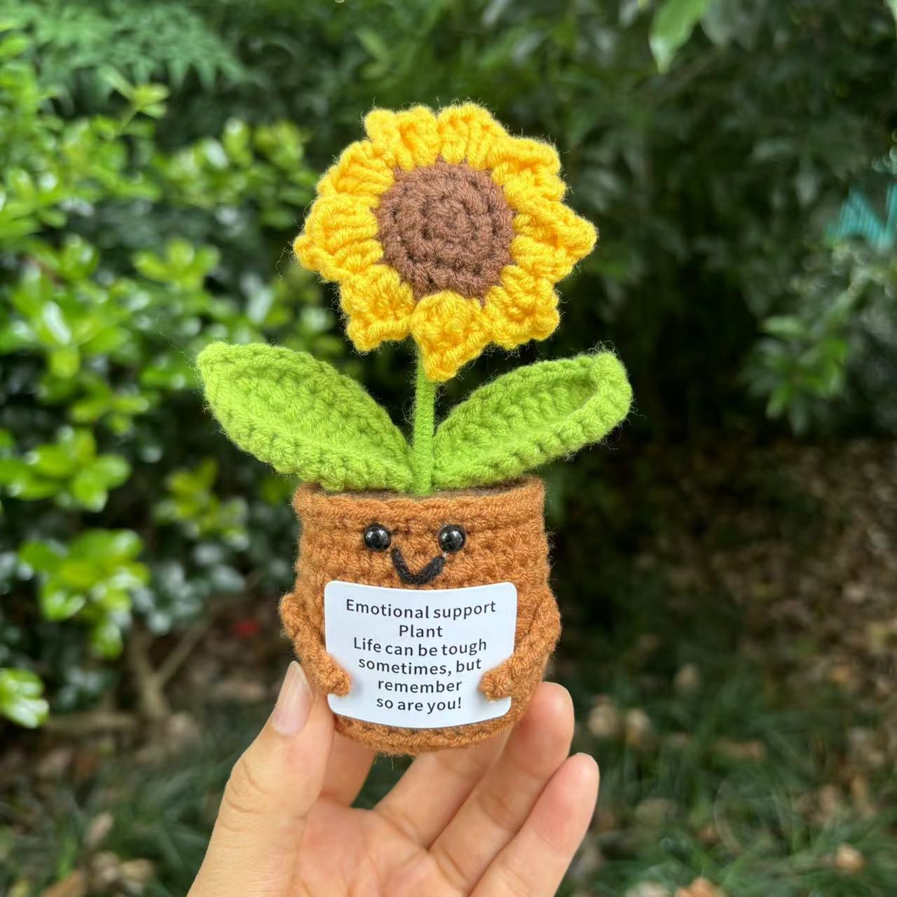 Sunflower With Card