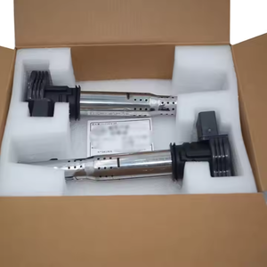 Digunakan untuk Audi A3 A4 A5 A6 Q5 engine engine C62.0T otomotif suku cadang koil pengapian coil coil koil pengapian - Product Image 3