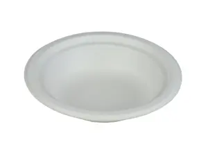 Disposable Tableware Eco-friendly Biodegradable Bagasse Material Oval And Round Plates