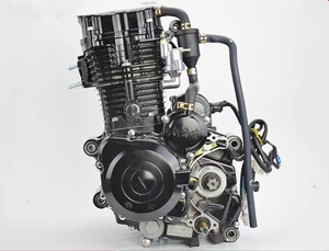 เครื่องยนต์ OEM สำหรับรถจักรยานยนต์สามล้อ รุ่น Tsunami ระบายความร้อนด้วยน้ำ ขนาด 250 ซีซี - Product Image 4