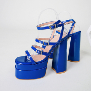 Chaussures à talons hauts et plateforme pour femme, style chunky, sexy, pour la scène - Product Image 5