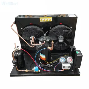Compact Systèmes De Refroidissement Air Conditionné Systèmes avec Miniature De Réfrigération Compresseur Rotatif YM86A3G-100