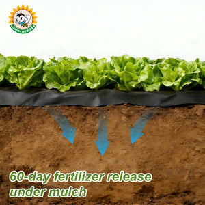 Film de paillage agricole en plastique à haut rendement Garden Bee, stimulant la production de légumes-feuilles, film de paillage dégradable à l'<span class=keywords><strong>acide</strong></span> fulvique - Product Image 5