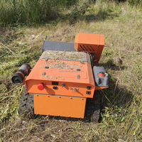 Broyeur à fléaux télécommandé sans fil certifié CE, à chenilles, avec générateur à essence, pour la coupe sur les pentes des fermes et vergers, usage DIY, puissance 12KW