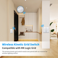 Interrupteurs muraux électriques sans fil RF433 à grille cinétique, sans câblage ni batterie, marche/arrêt, gradation, cuisine, IP20, certifiés CE/FCC