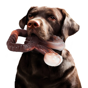 Köpekler oyuncakları Gnaw, dişlerini öğütmek ve onları temizlemek köpek çiğneme oyuncakları naylon Pet oyuncaklar Pet oyuncak köpek oyuncak güç Chewer köpek oyuncaklar - Product Image 6