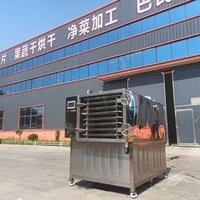 Industriële 50Kg 100Kg Lyofilisator Vacuüm Vriesdroger Automatische Industriële Drogen Dehydrator Voedselverwerking Snoep Fruit Selderij
