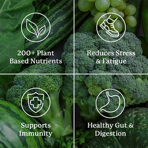 Thiết kế mới nhất hỗ trợ đường tiêu hóa greens bột chay Vitamin tổng hợp probiotoc Detox Chlorella siêu greens bột - Product Image 4