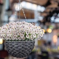 Bunga rumput musim semi 5 kepala, bunga Violet bunga buatan tanaman air kain sutera dekorasi halaman luar ruangan