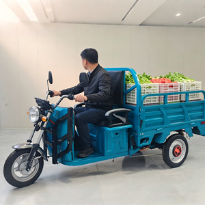 Petit tricycle électrique pour le transport de marchandises, <span class=keywords><strong>prix</strong></span> réduit pour les entreprises, tricycle électrique avec certificat EEC - Product Image 6
