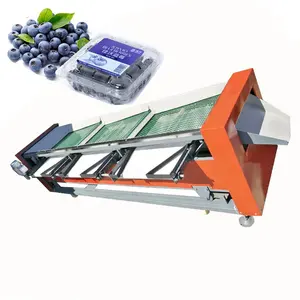 Bán tốt nhất Blueberry phân loại Máy | Quả Việt Quất tự động SORTER Máy | trái cây phân loại phân loại giá máy