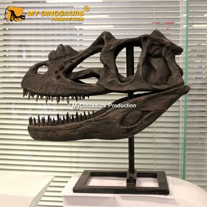 Meu dino ds039 esqueleto carnotaurus, crânicos, museu de história natural