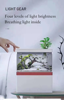 Vente chaude Aquarium de table de haute qualité Tortue Poisson rouge Créatif Écologique Petit aquarium