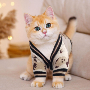 NOUVEAU Cardigan Ours Automne Hiver, Vêtements Festifs Mignons pour Animaux, Pull Tricoté Chaud pour Petits et Moyens Chiens, Vêtements pour Chats - Product Image 2