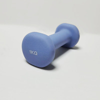 Mancuernas de colores personalizadas, equipo de fitness para uso doméstico, mancuernas moldeadas de cabeza plana pequeñas de hierro