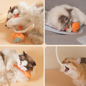 Giocattolo Ecologico in Cotone per Animali Domestici, Corda Interattiva per Cani e Gatti, Bastoncino Peluche con Erba Gatta per Gatti - Product Image 4