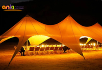 Grand chapiteau extensible imperméable pour l'extérieur, tente extensible pour les fêtes et les activités de mariage