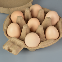 Carton à œufs en fibre recyclée moulée, biodégradable, compostable, durable, personnalisé pour 2/3/4/6/7/8/10/12/15/18/20 œufs, vente en gros