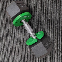 Tellus Small Barbell Add-On Gym Counter Weight Plaques de pare-chocs fractionnaires calibrées 0.25-1kg Plaque de changement d'entraînement en caoutchouc
