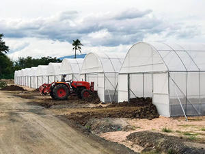 Venta directa de fábrica, invernadero barato, invernadero de túnel de un solo tramo utilizado para tomate y fresa - Product Image 4