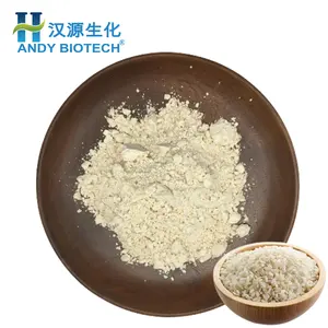 Factory Supply Bulk 80% Nutrient Hydrolyzed Brown Rice Protein Powder With High