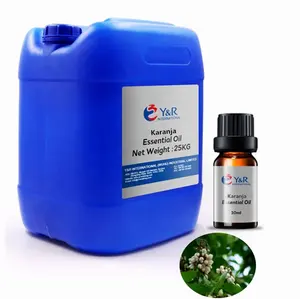 Pure Nature Hot Sale Bio-Karanja-Bulk-Öl für die Hautpflege mit kostenlosen Proben und Versand