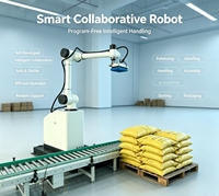 Robot Colaborativo Inteligente para Paletización, Robot de Apilamiento Automático para Taller de Empaquetado de Fertilizantes