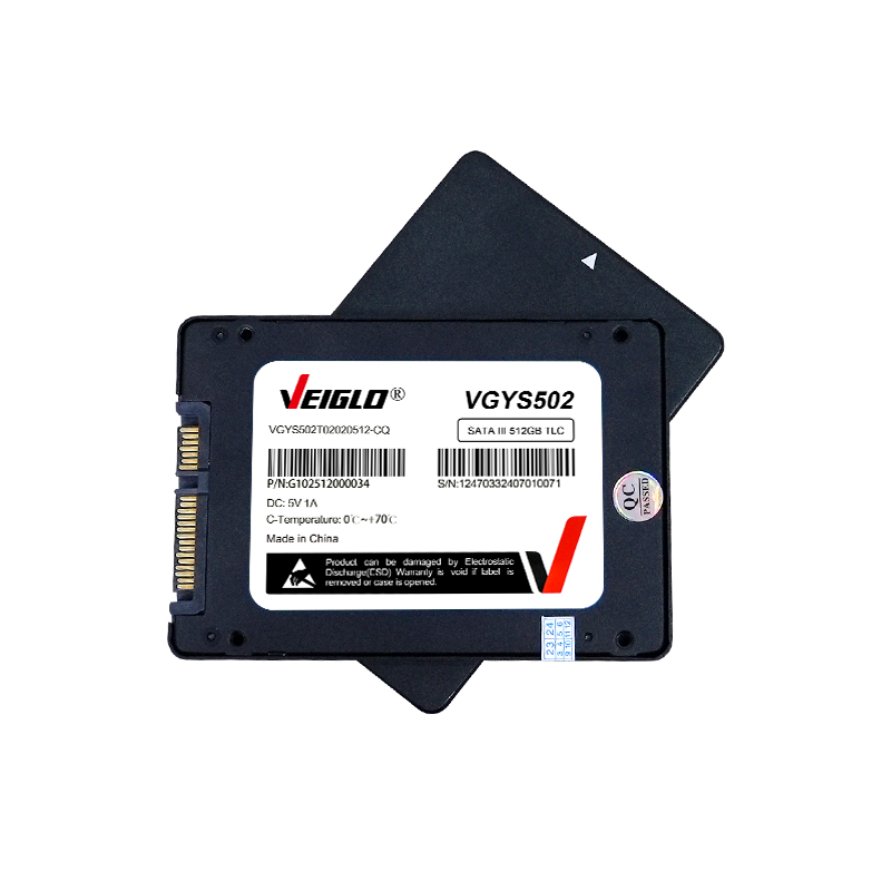 DRAM SATA SSD High Performance Internal Storage