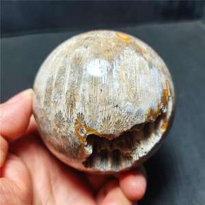 Sphère en jade corail poli naturel de haute qualité, cristal fossile de chrysanthème, boule de cristal pour la décoration de la maison, Feng Shui, vente en gros - Product Image 5