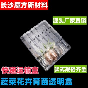 Bandeja de Transporte de Plástico para Plántulas 725X430X6mm, Caja de Embalaje Transparente para Uso en Viveros de Vegetales y Flores - Product Image 5