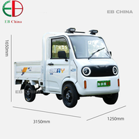 Camionnette électrique compacte à quatre roues motrices, moteur brushless haute performance 1000W, conduite à gauche, autonomie 401-500km, usage intensif, vente en gros