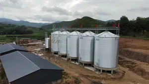 Customized Steel Grain Storage Silo For Sale 500-10000 Ton Corn Wheat Paddy Rice Silo Prices Steel Silo Turnkey Project