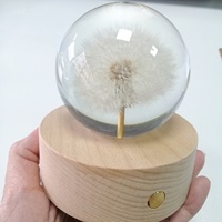 Vente en gros de résine de haute qualité + vraies fleurs sèches forme de boule de pissenlit lumière LED pour cadeau de boule de cristal