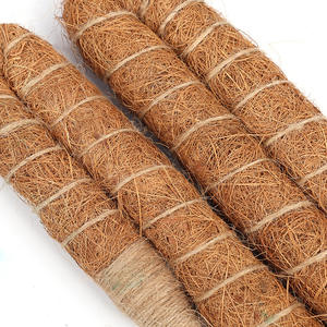 Tige de coco flexible, support naturel pour plantes grimpantes, poteau de modelage pour plantes d'intérieur, pour le jardinage domestique - Product Image 4