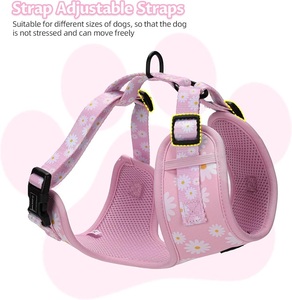 Arnés <span class=keywords><strong>para</strong></span> Perro Personalizado de Fabricante con Marca Privada, Transpirable, Ligero, Sin Tirones, Collar, Correa, Lazo, Bandana y Soporte <span class=keywords><strong>para</strong></span> Bolsas de Excrementos - Product Image 5