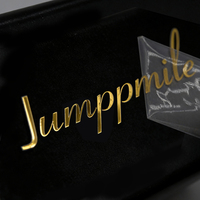Pegatinas de Vinilo Dorado Mate Personalizadas, Etiquetas Adhesivas con Letras Plateadas para Tazas, Diarios, Regalos, Manualidades, OEM, ODM