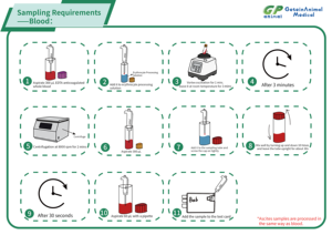 Prix du thermocycleur PCR de laboratoire, machine de <span class=keywords><strong>test</strong></span> <span class=keywords><strong>ADN</strong></span> vétérinaire pour chat et <span class=keywords><strong>chien</strong></span> - Product Image 5