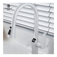 Nouveau Robinet Intelligent de Cuisine à Cascade pour Nettoyage de Légumes, Robinet Intelligent en Acier Inoxydable pour Évier de Cuisine